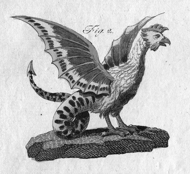 Basilisk aus Bertuch's Fabelwesen (Friedrich Johann Justin Bertuch, 1747-1822)